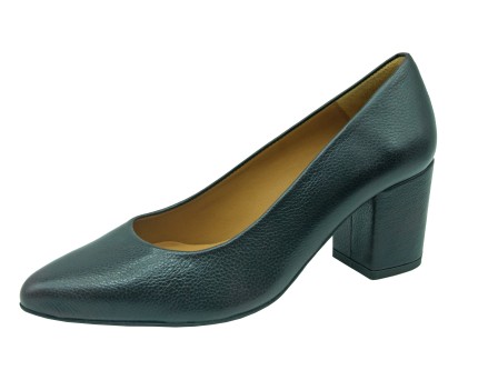 Campioni AUDLEY Modello 22856